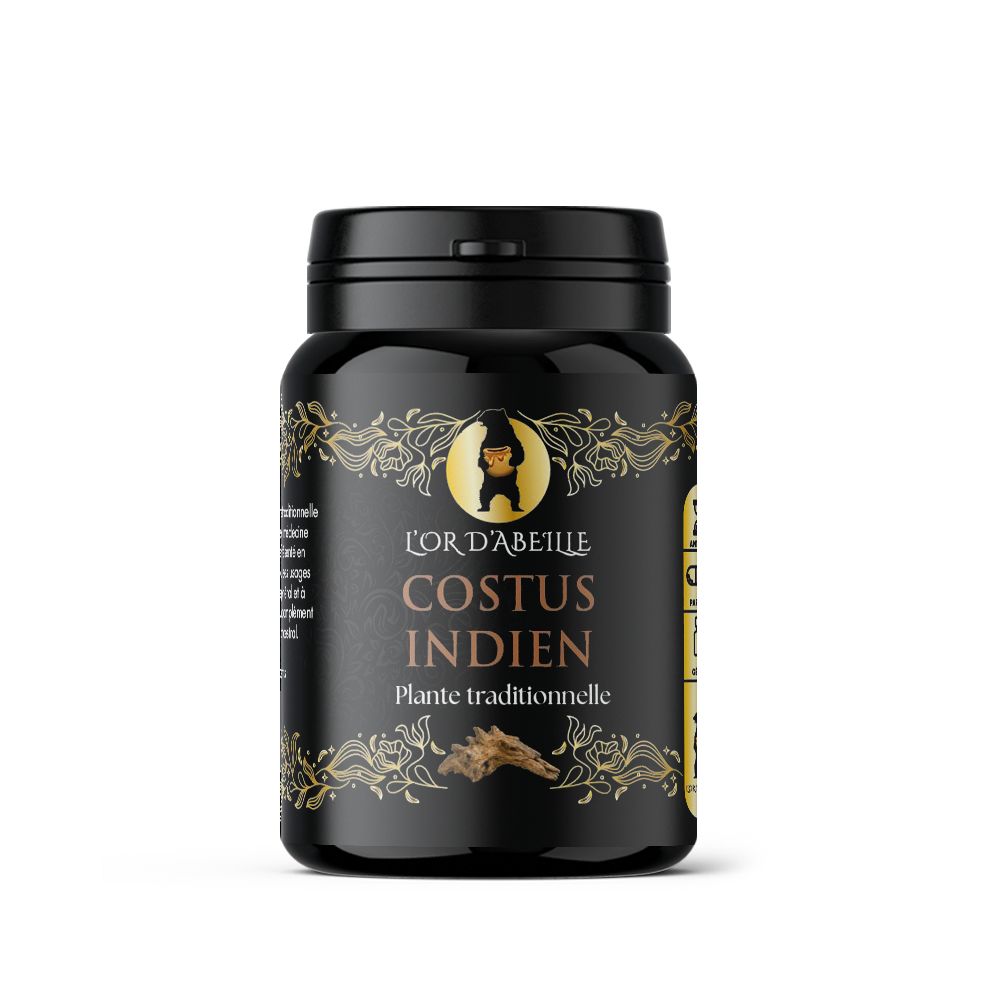 Costus Indien en Gélules - 60 Gélules