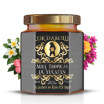 Miel du Yucatán | Mexique | Récolte Sauvage Tropicale